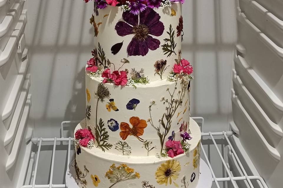 Botanical cake coloré