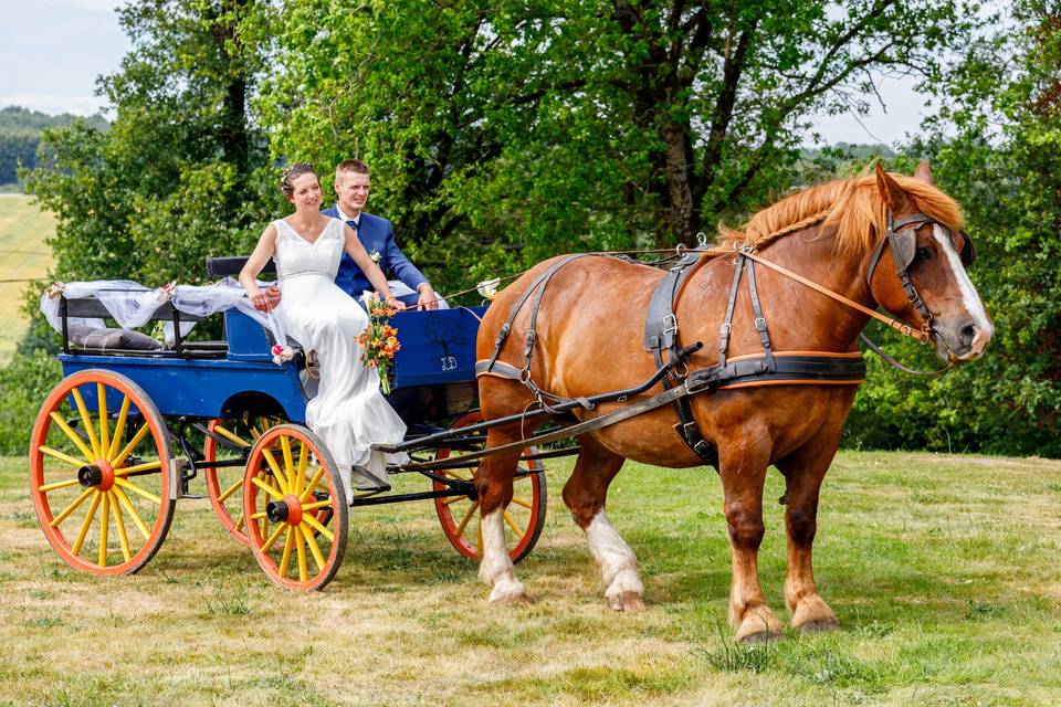 Studio Yann Photo Baud Mariage