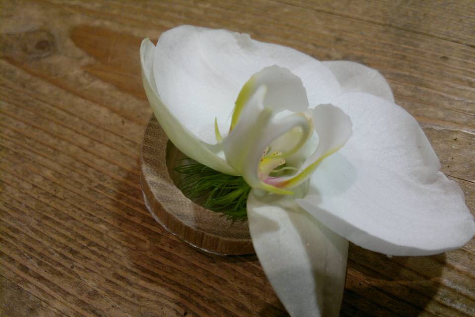 Boutonnière marié