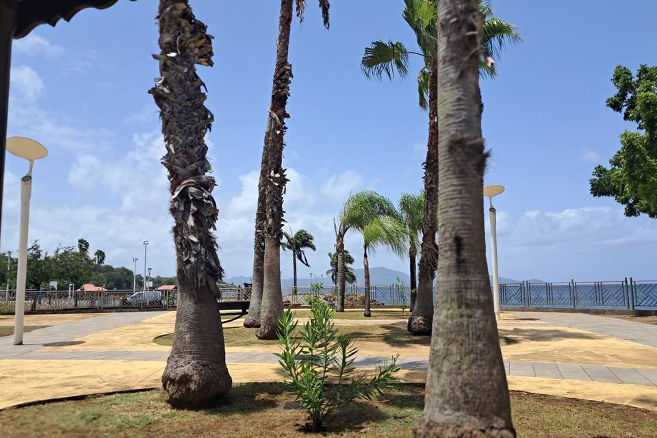 Spot photo - bord de mer