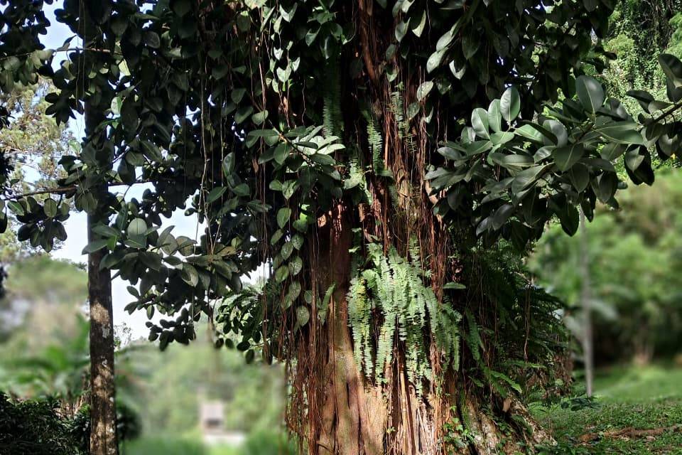 Excursion - pause nature