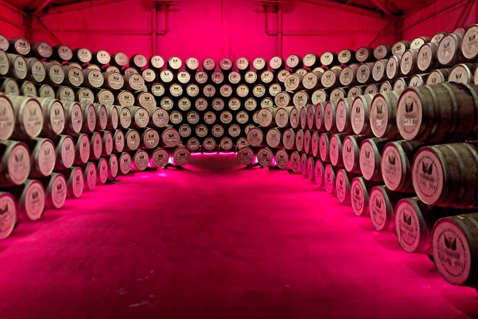 Excursion distillerie J.M