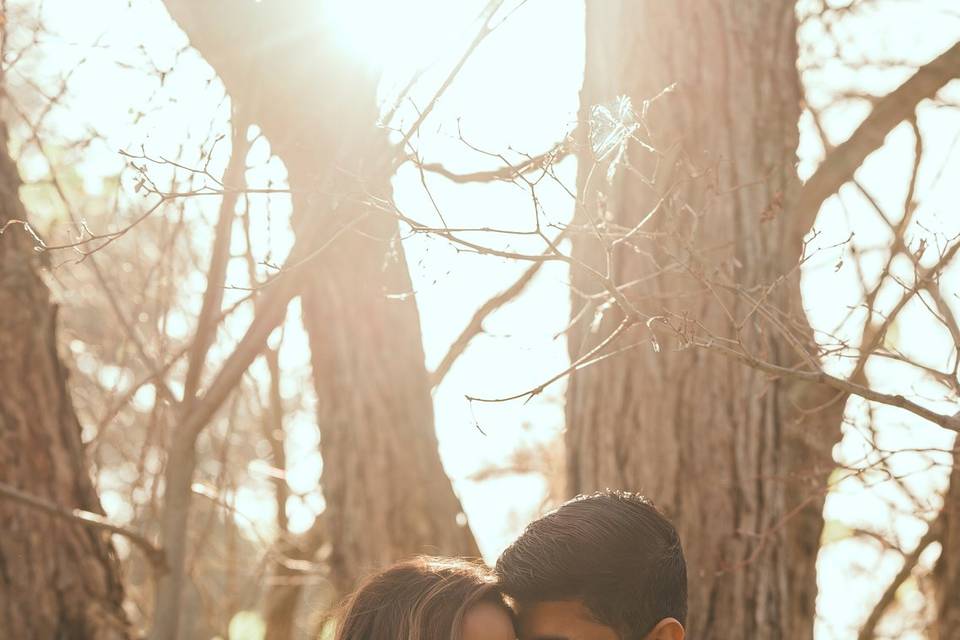 AF Picture