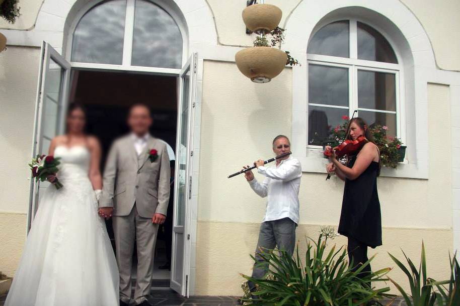 Violon mariage