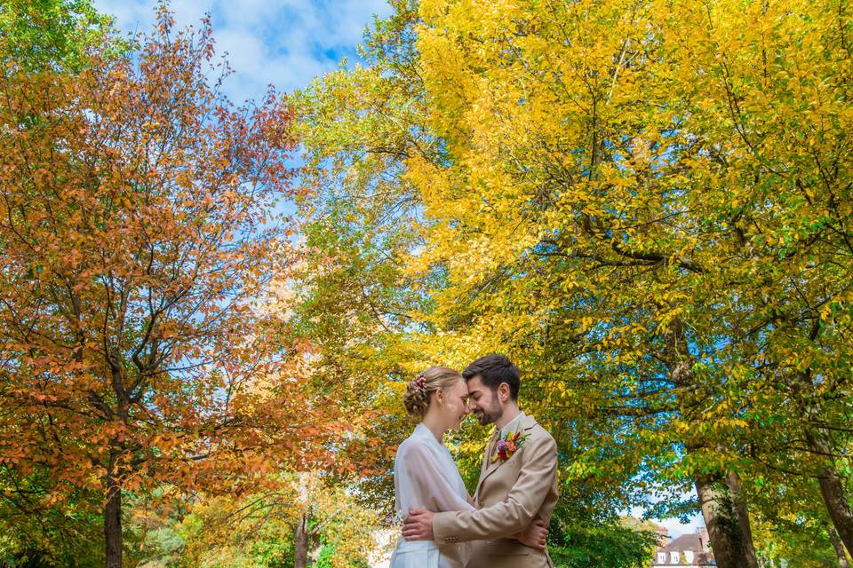 Autumn leaves