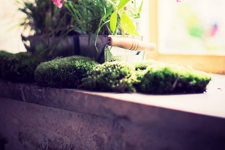 Décoration