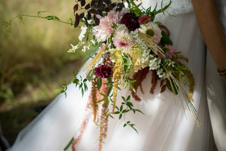 Détails fleurs