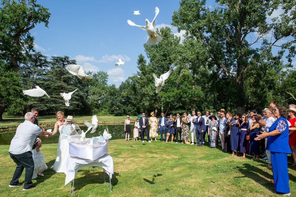 Photographe Mariage Toulouse