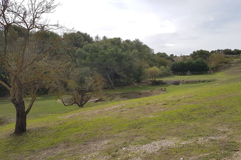 La campagne de Garandeau