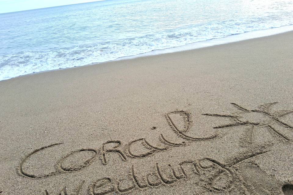 Corail Wedding & Événement 
