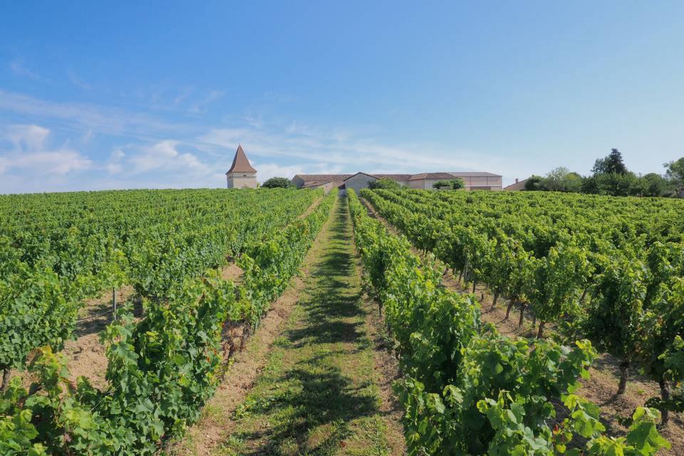 Le domaine au printemps