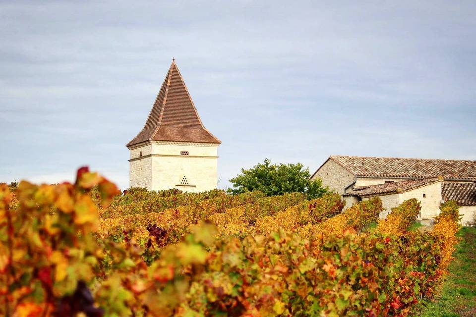 Le domaine à l'automne