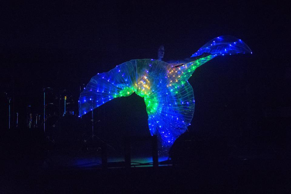 Ailes d'Isis lumineuses