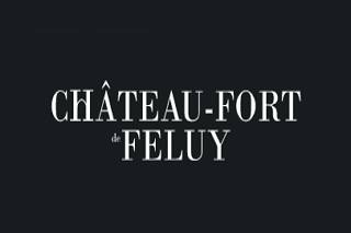 Château-fort de Feluy logo