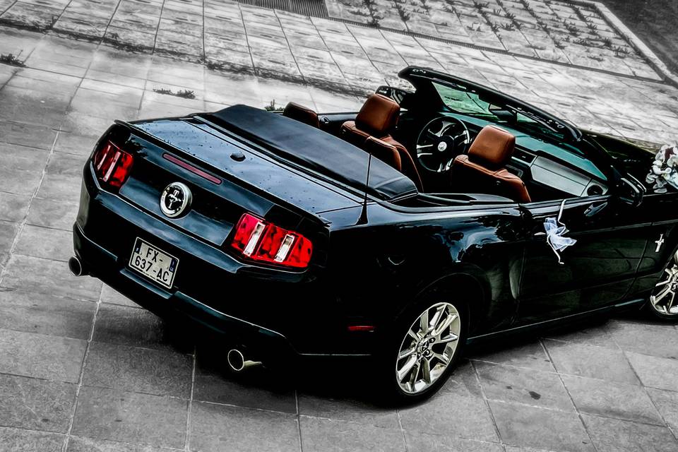 Mustang