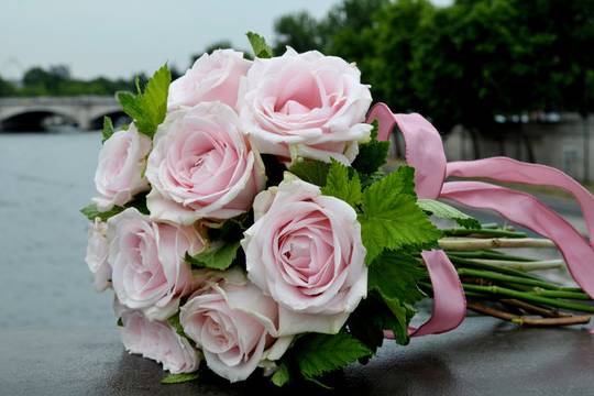 Le bouquet