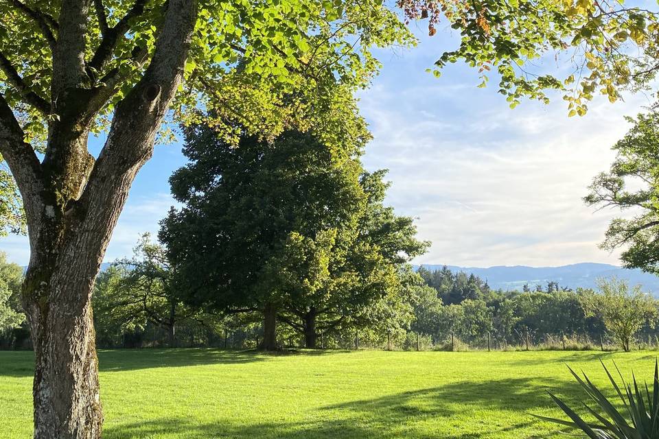 Parc de 3ha