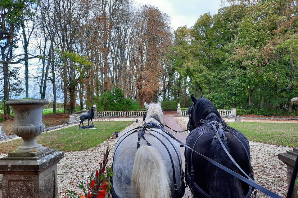 Dans l'allée