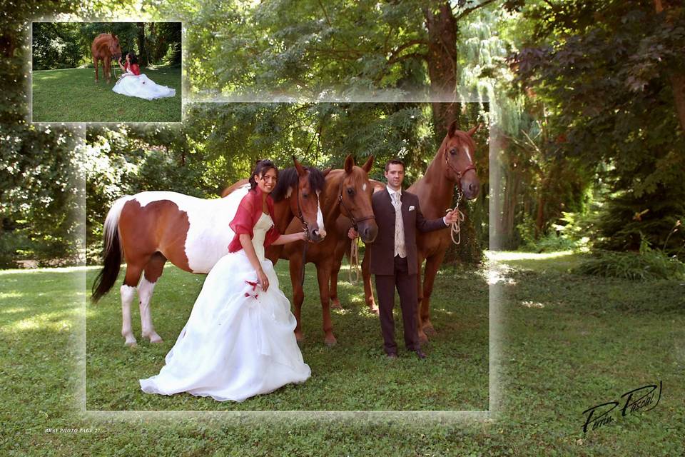 Bray photo Trash the Dress