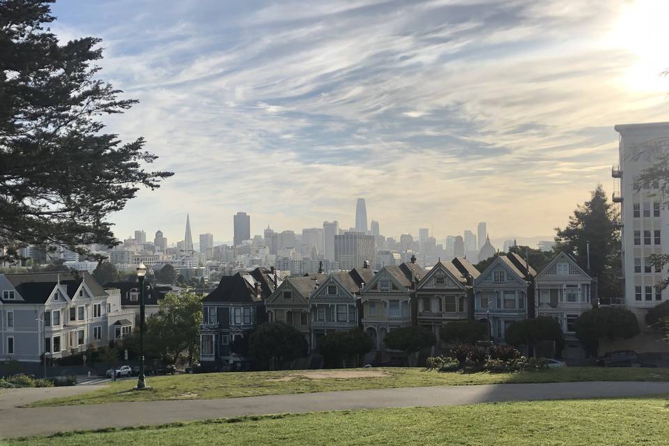 Painted ladies (San Fransisco)