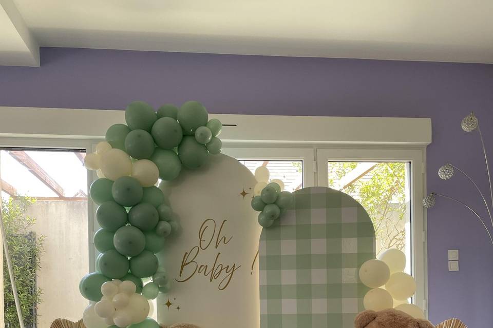 Baby shower sauge