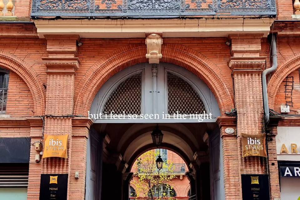 Capitole ibis