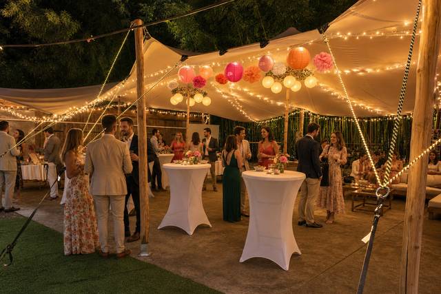 Vin d'honneur et soirée