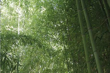 Cadre naturel d'exception