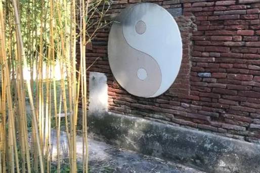 Une ambiance naturelle et zen