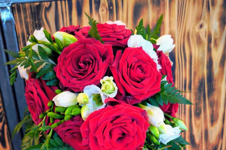 La Rose des Vents