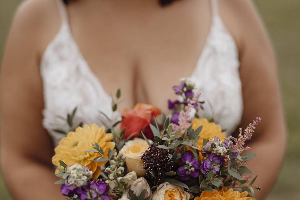 La Rose des Vents