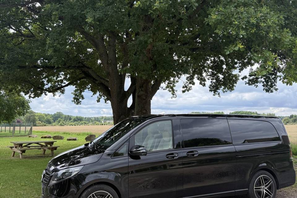 Mercedes V-Class New