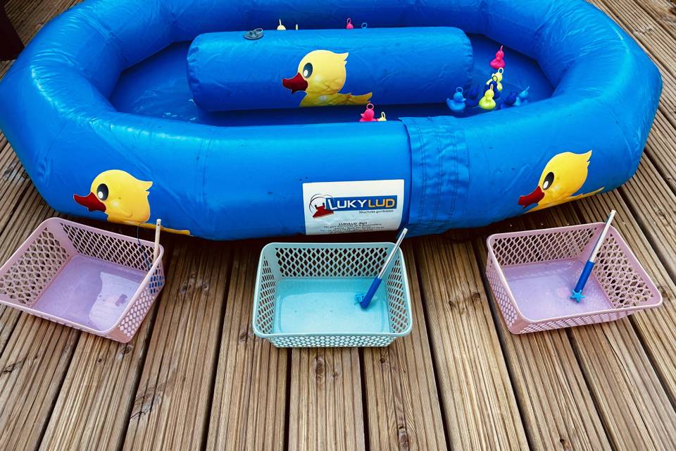 Pêche aux canards