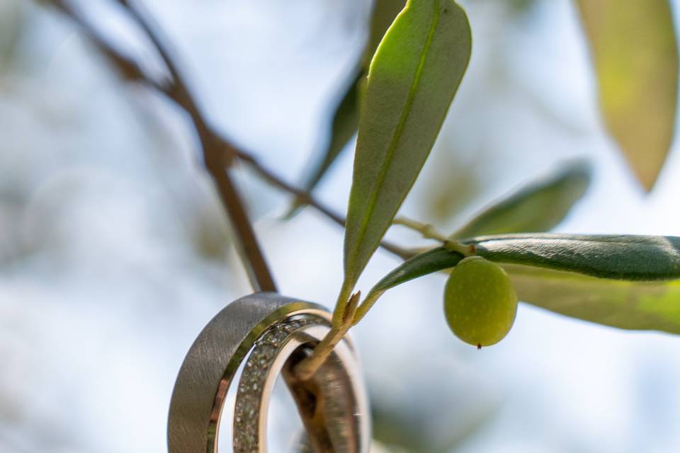 Mariage provençal