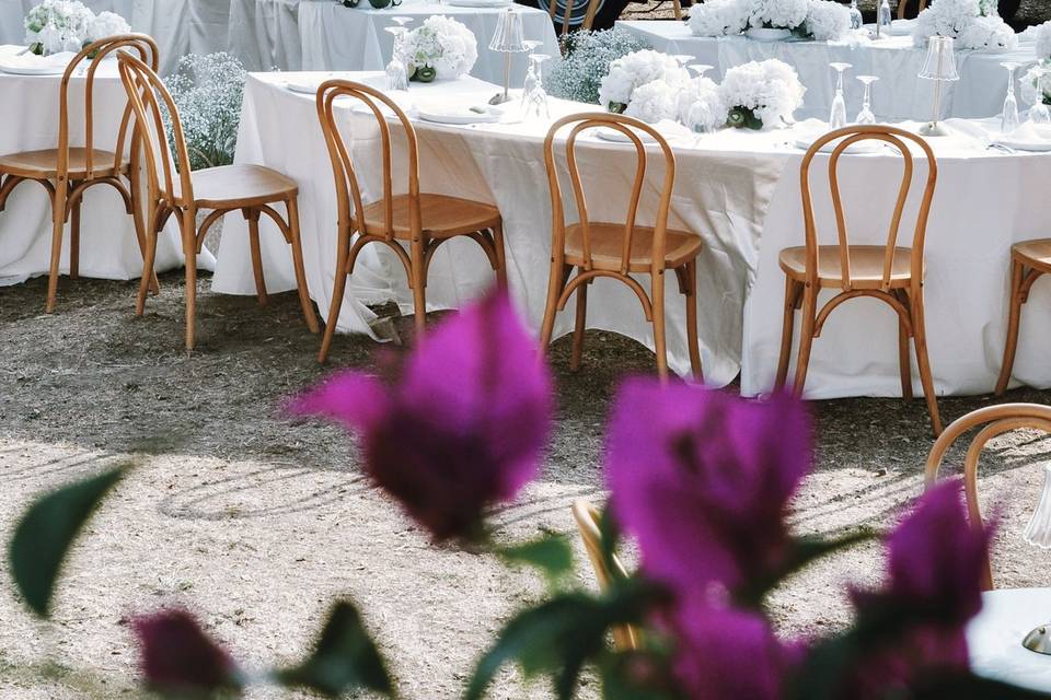 Domaine Anna - Dea