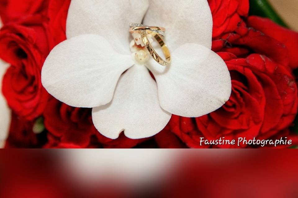 Faustine Photographie
