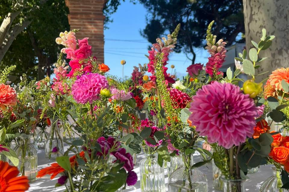 Soliflores fleuris colorés