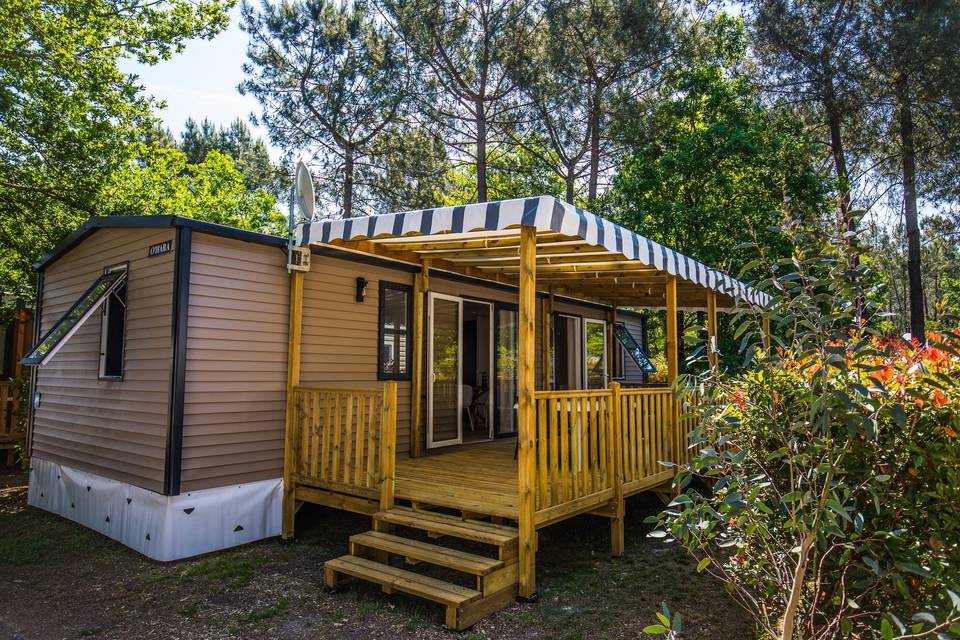 Salle Lyro - Camping Le Paradis