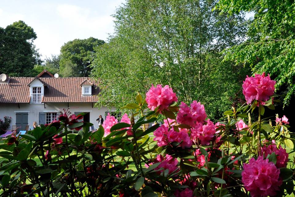 Gîtes et Manoir dans la Somme