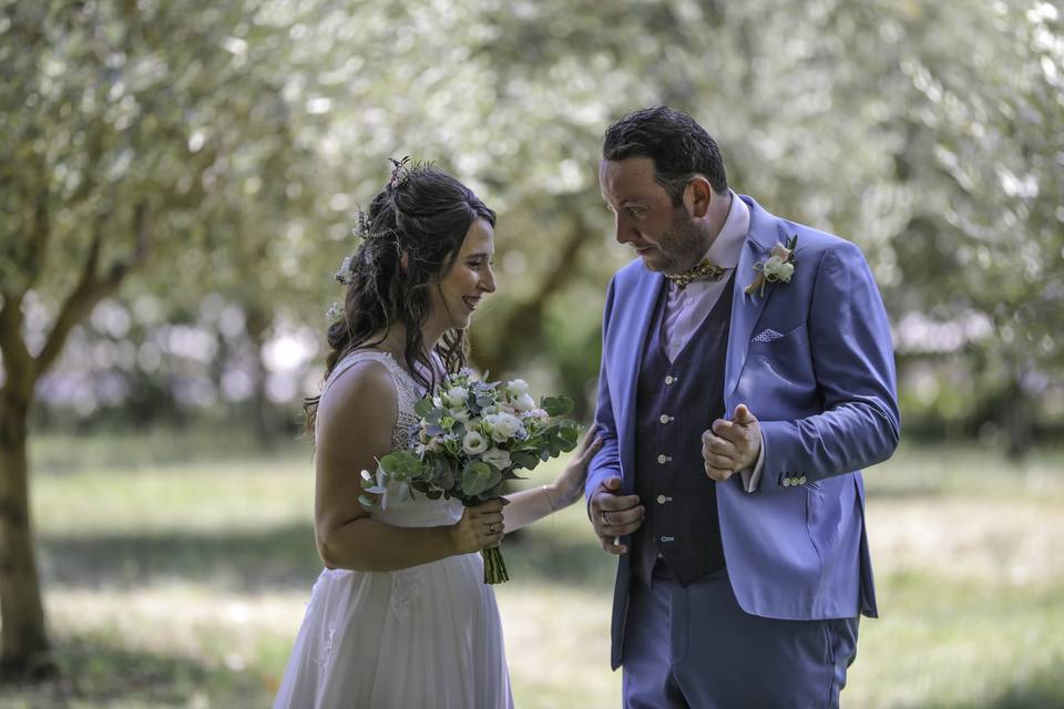Wedd