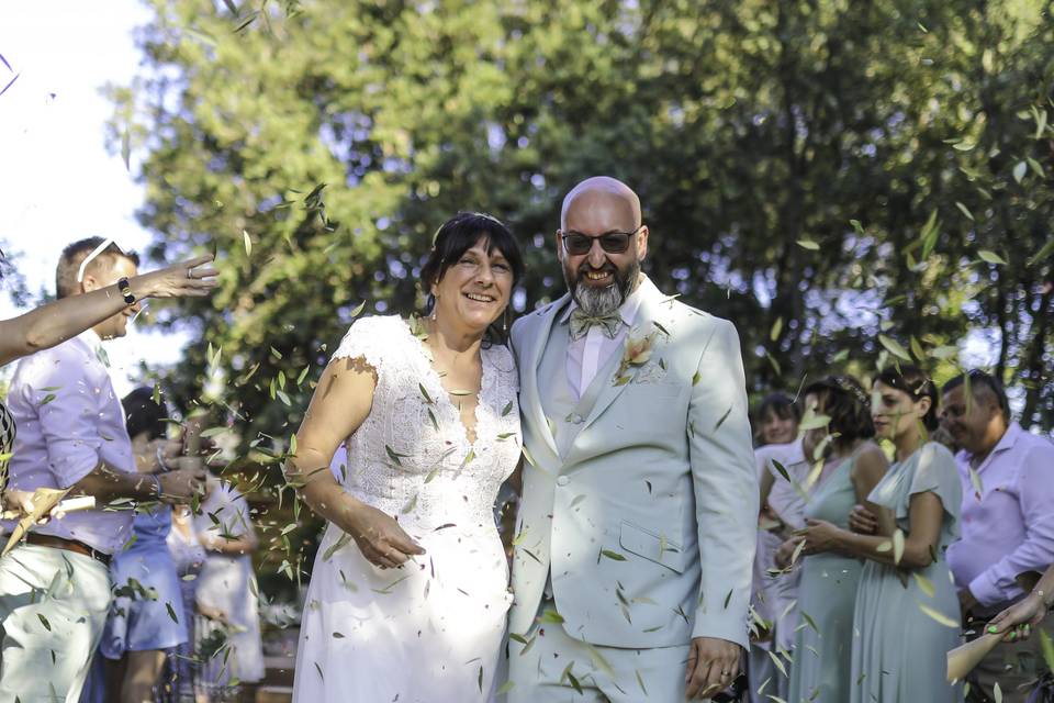 Wedd