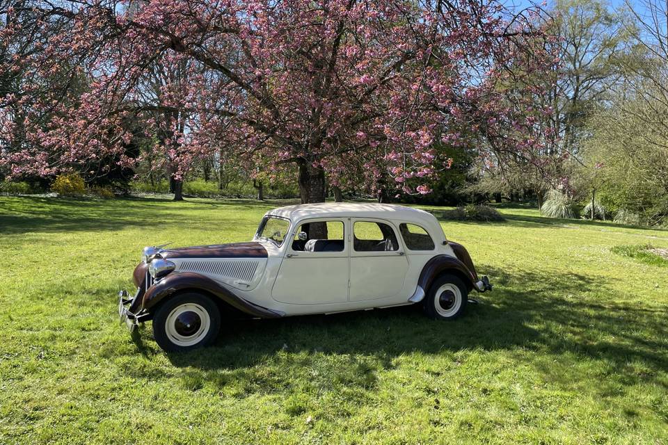 Citroën traction 11 C.