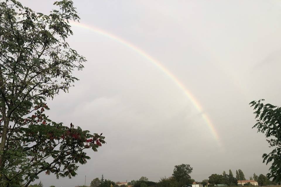 Rainbow