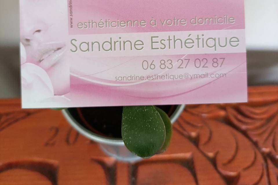 Carte de visite
