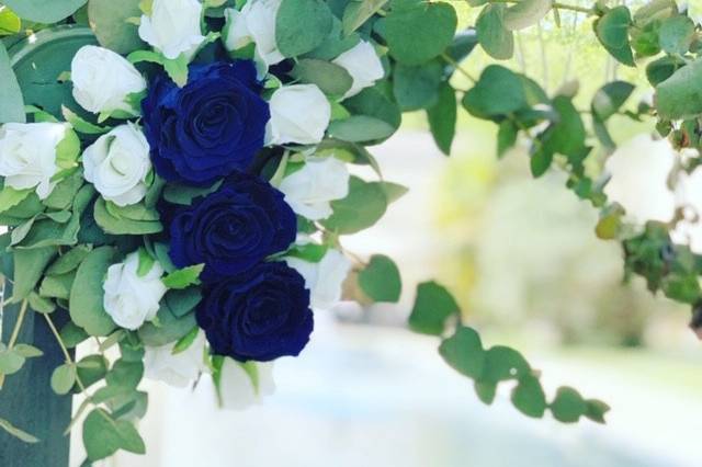 Arche roses bleues