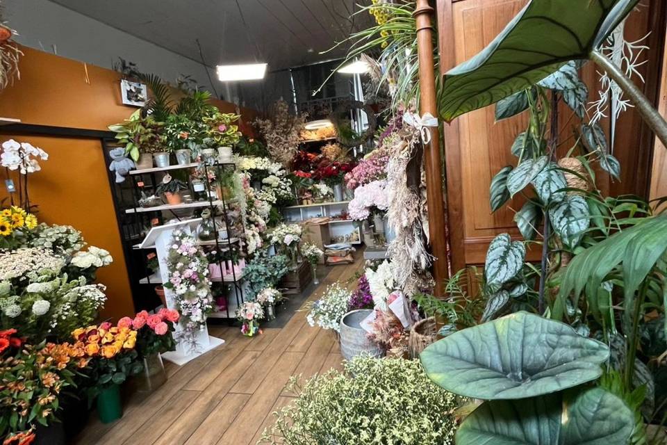 Féerie Florale