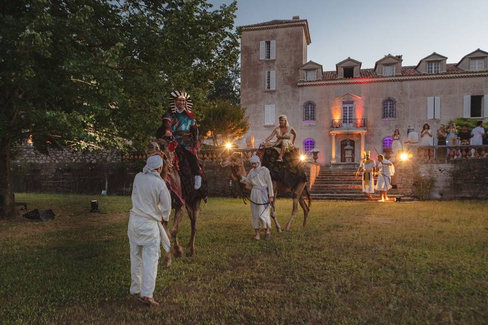 Ballades à dos de Chameaux