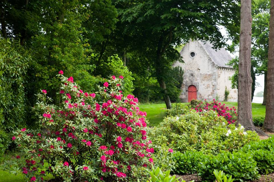 Jardin fleuri