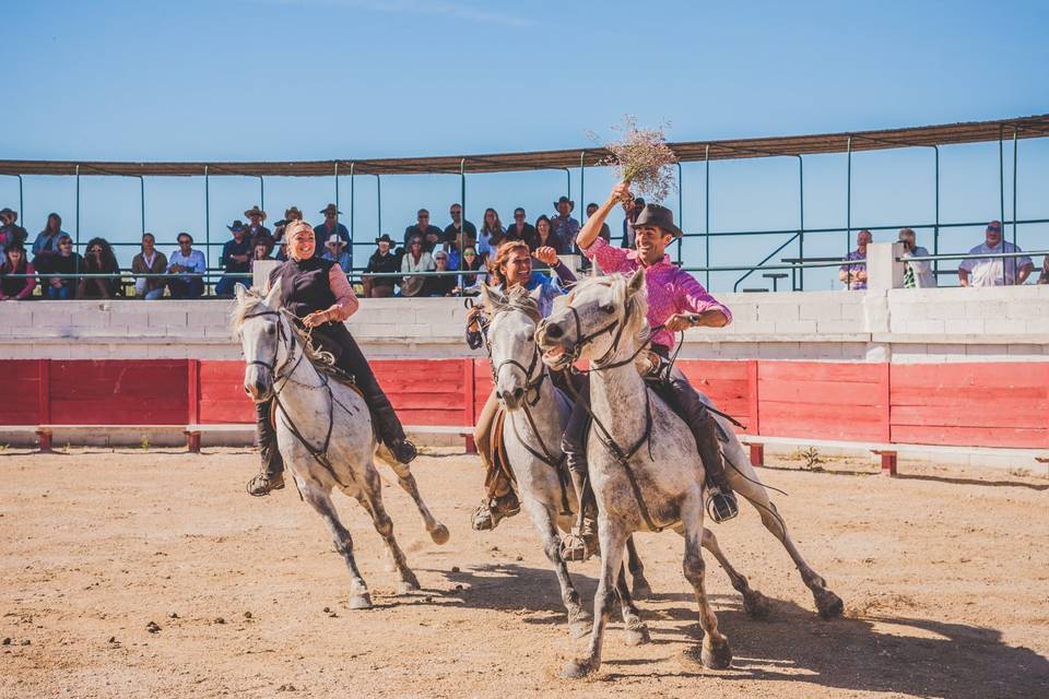 Camargue