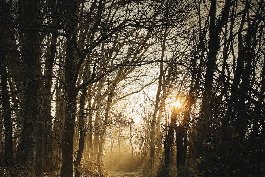 PHOTO - Paysage Touraine